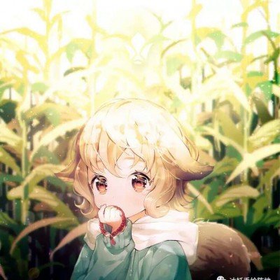 这些国宝动物队伍又壮大了